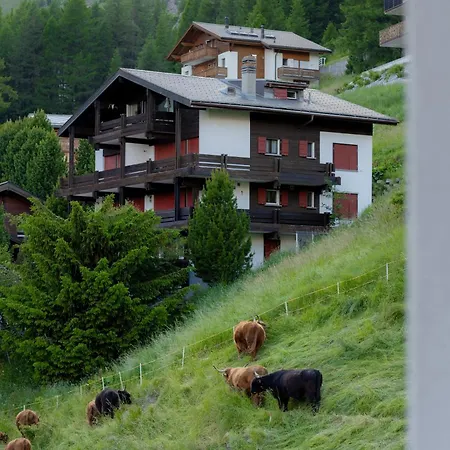 Victoria's - Luxurious Penthouse Apartment Saas-Fee